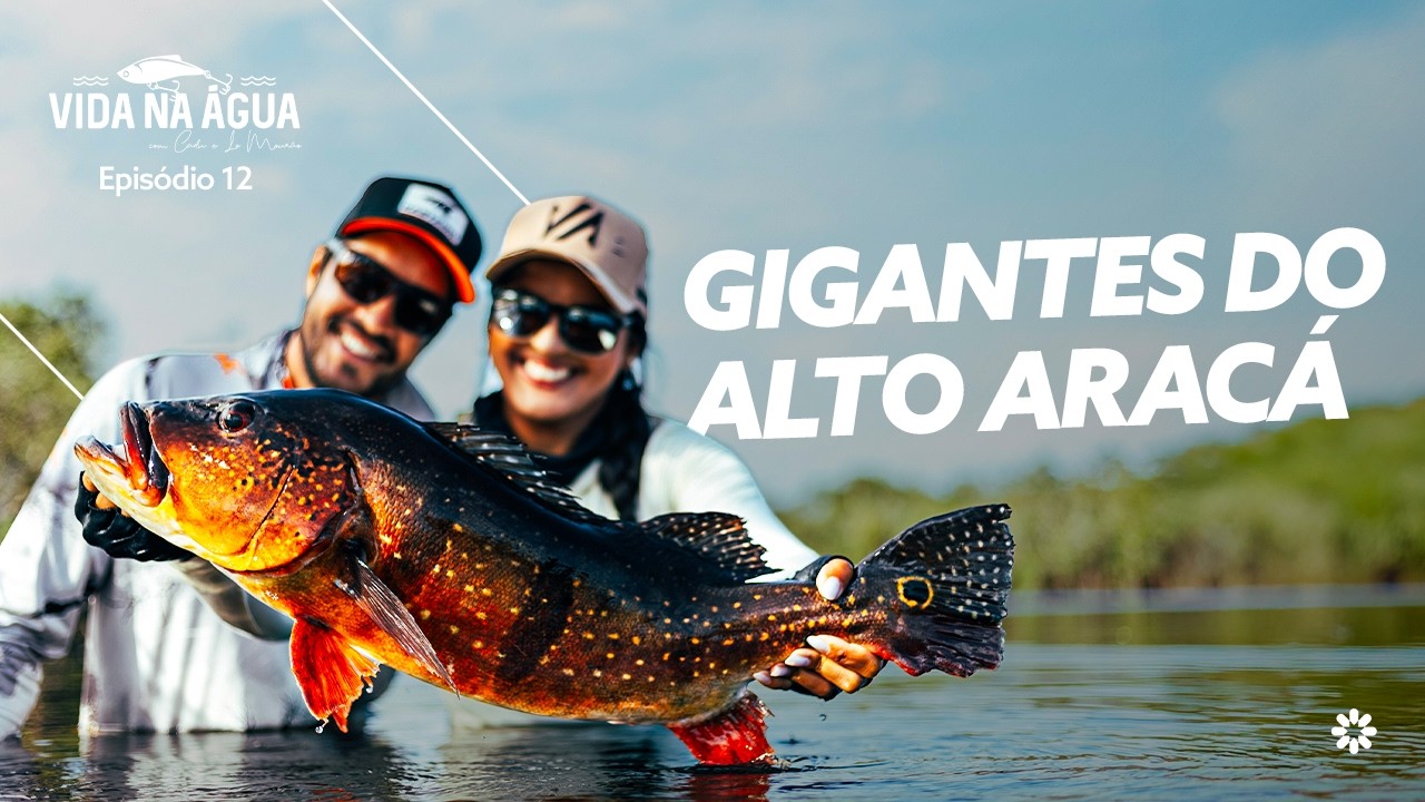 Gigantes do Alto Aracá: meta batida e tucunarés monstruosos na Amazônia | Personal Amazon Fishing