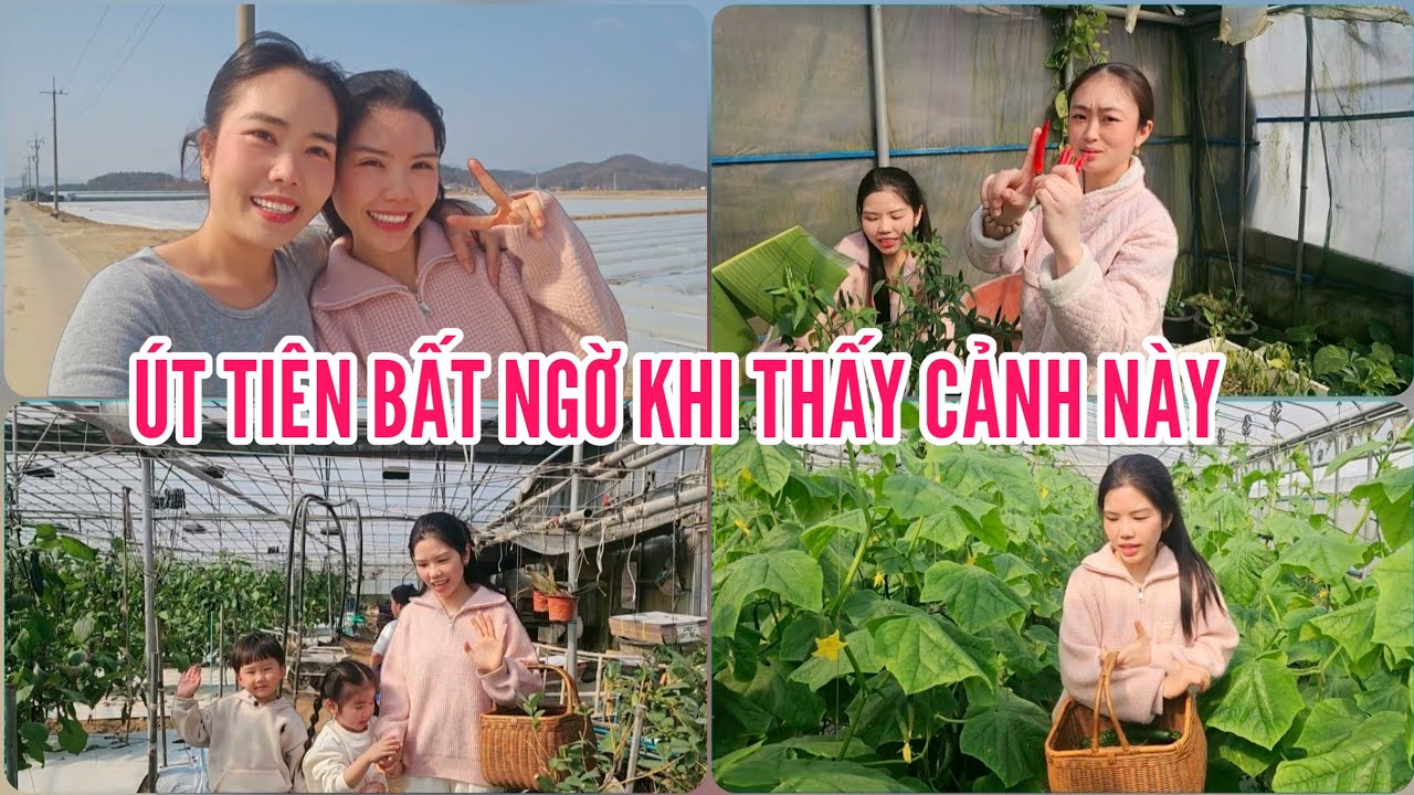 629🇰🇷 ÚT TIÊN BẤT NGỜ KHI THẤY ĐƯỢC CẢNH NÀY TẠI HÀN QUỐC