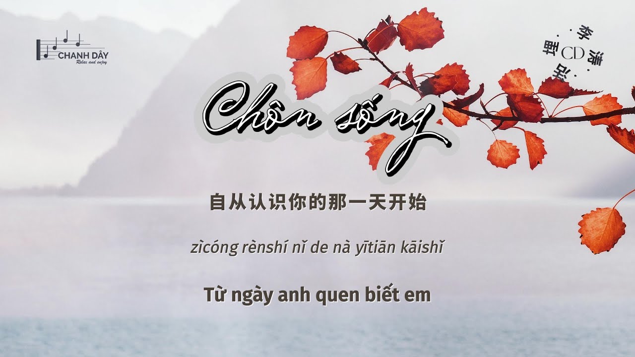 [Vietsub] Ch&ocirc;n sống (活埋) - L&yacute; Đ&agrave;o (李涛)
