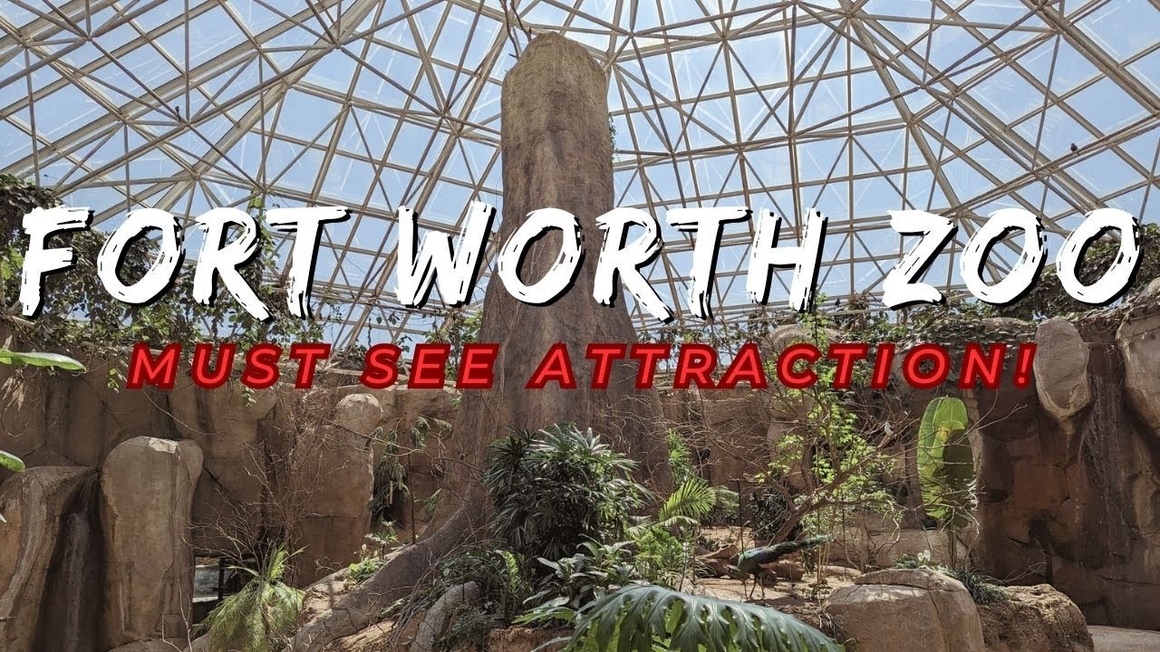 Fort Worth Zoo | Fort Worth, Texas | 2023 Top 10 Zoo