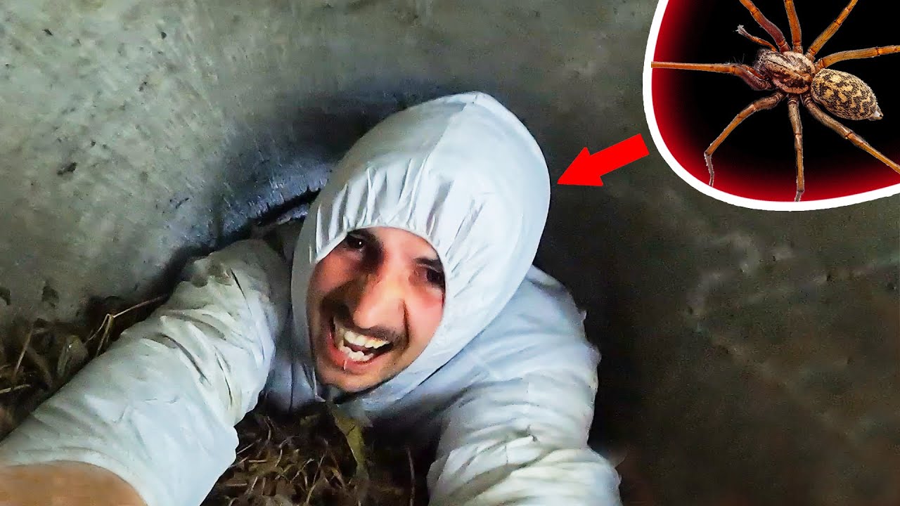 EXTREM KLAUSTROPHOBISCHER SPINNEN-TUNNEL 🕷️ | Parkour im WALD