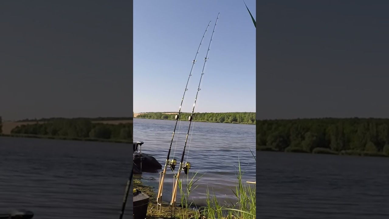 Harcsa kap&aacute;s &aacute;ll&iacute;tott botra!#shorts #benceujvarifishing