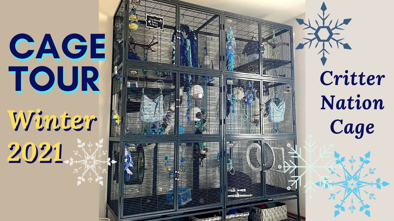 Cage tour | Winter 2021 | Sugar Glider Cage