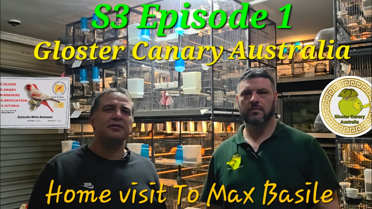 Episode - 1 S3 Max Basile Birdroom Visit.