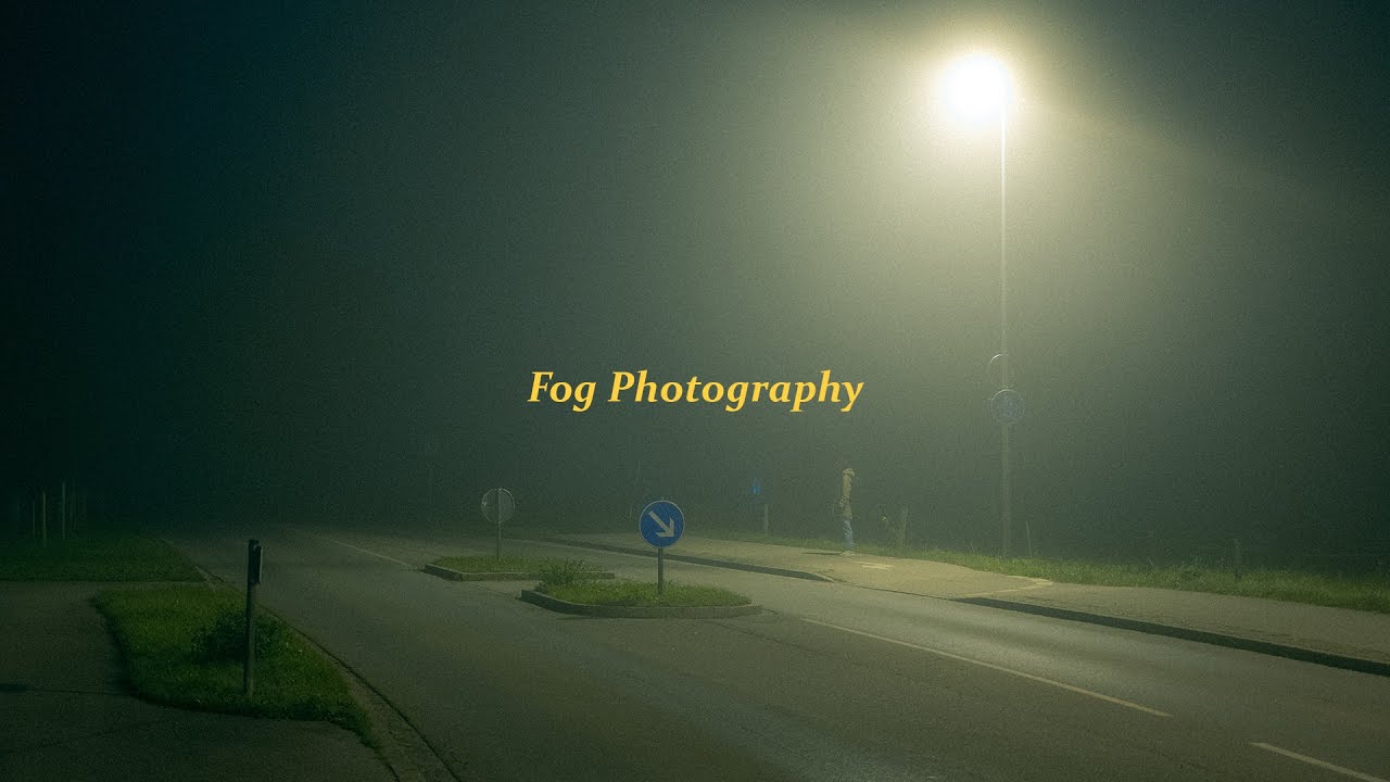 6AM Fog Photography.