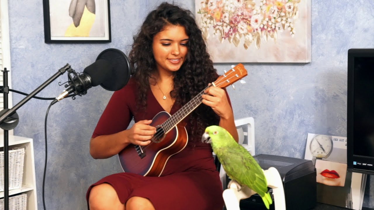 MY PARROT SINGS CREEP BY RADIOHEAD WITH ME | Chloe Alexander