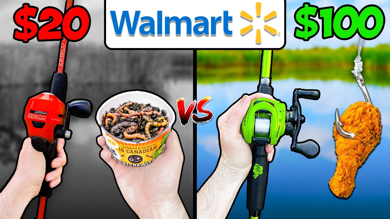 $20 vs $100 Walmart Budget Fishing Challenge