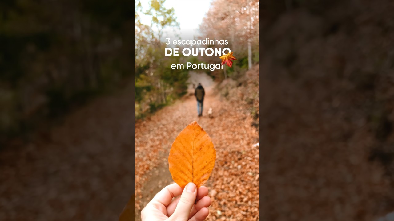 3 Escapadinhas de #outono em #Portugal 🍁 #dicasdeviagem #viajar #viagens #viajaremportugal