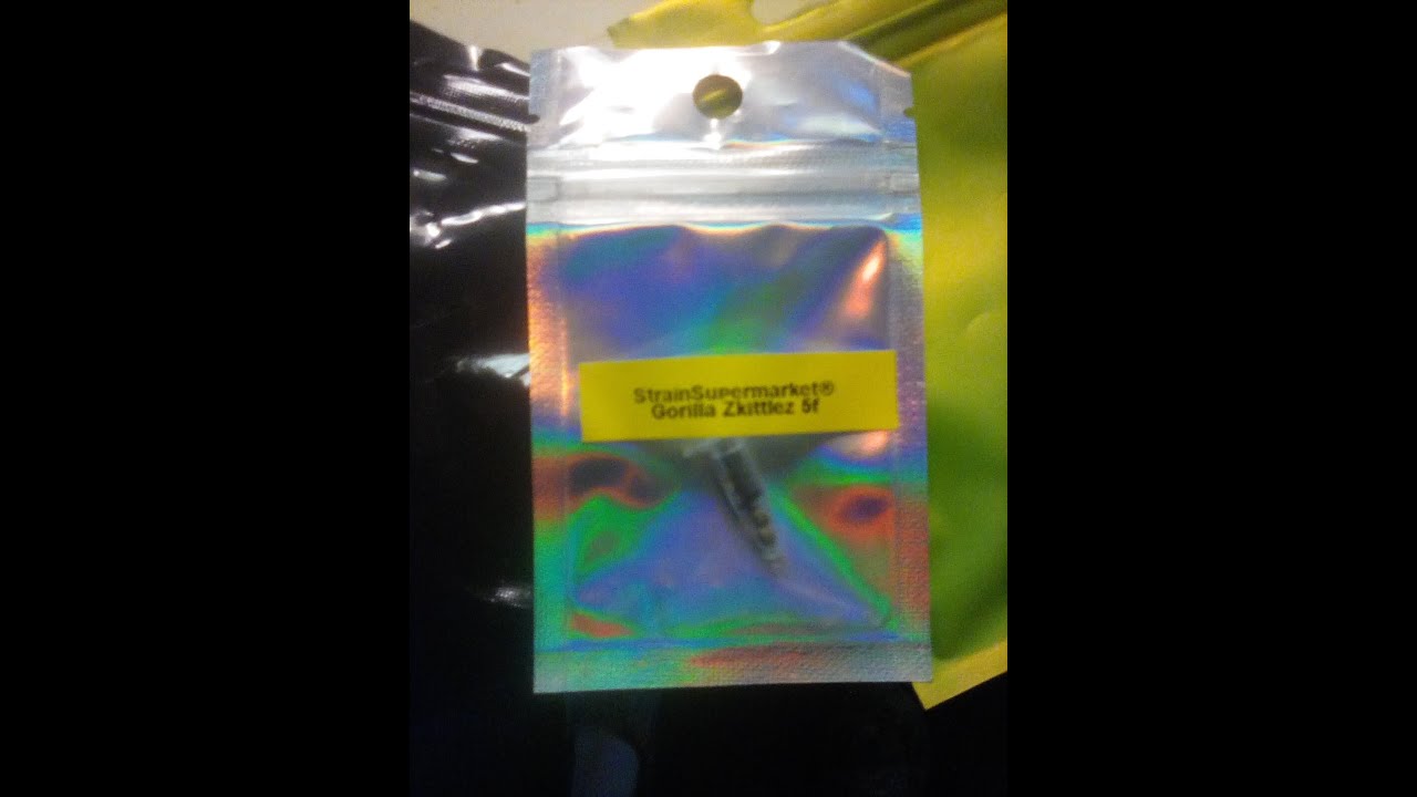 Beautiful Gorilla Zkittlez