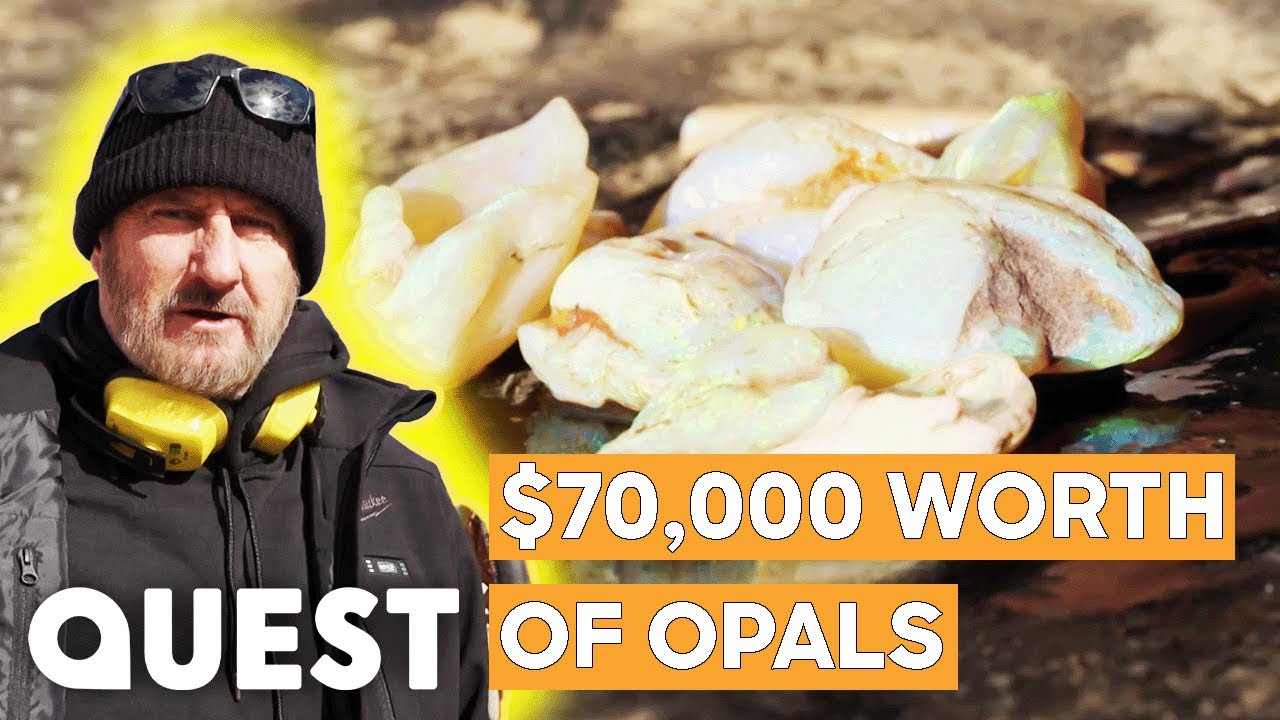 Blacklighters Discover Cream Opal Shells Worth $70,000! | Outback Opal Hunters