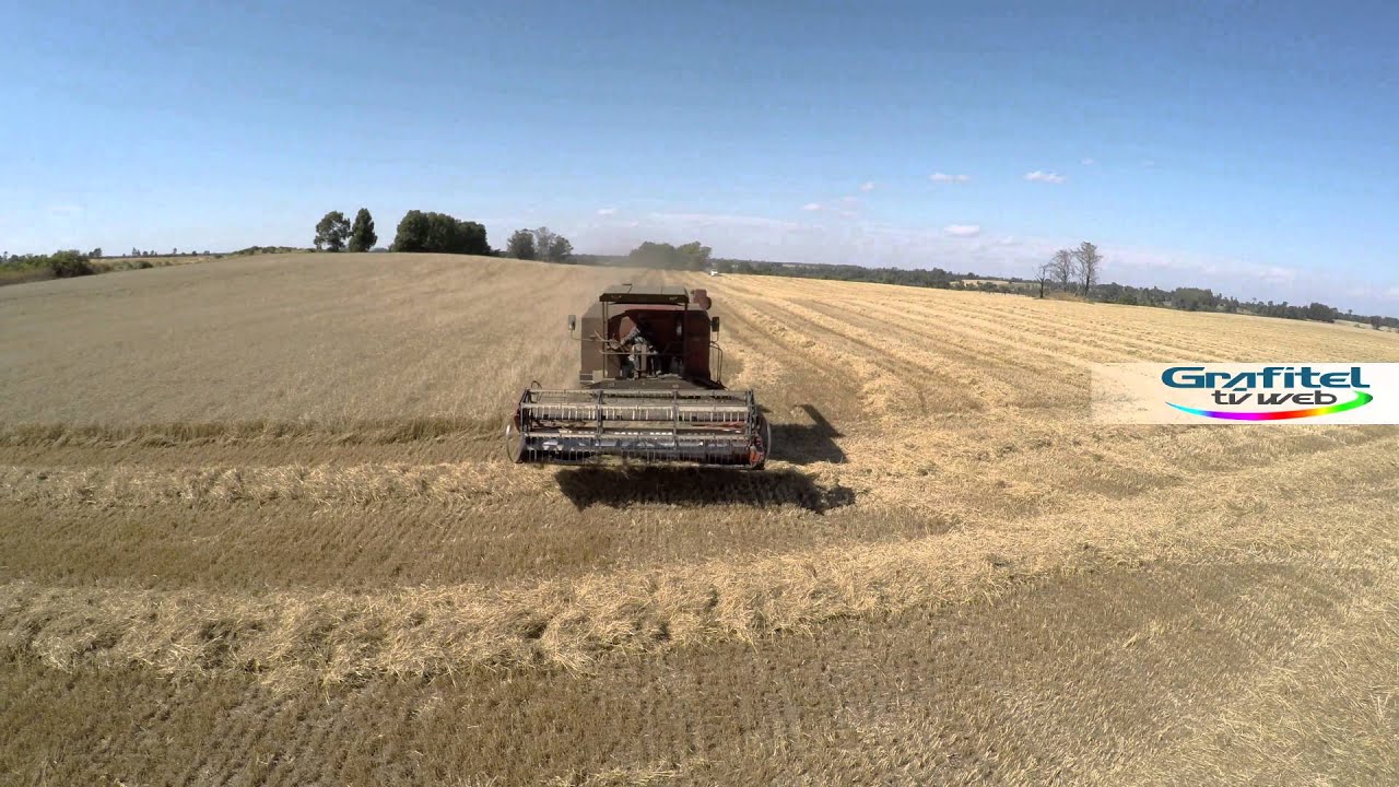 Trilla en Lautaro John Deere 6200