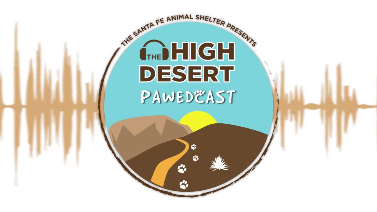 Why We Do What We Do: Stories from a nonprofit animal shelter