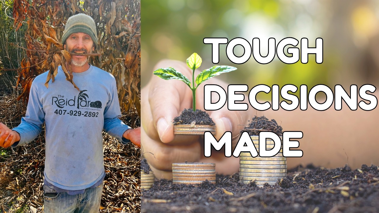 Сегодня утром было принято непростое решение.