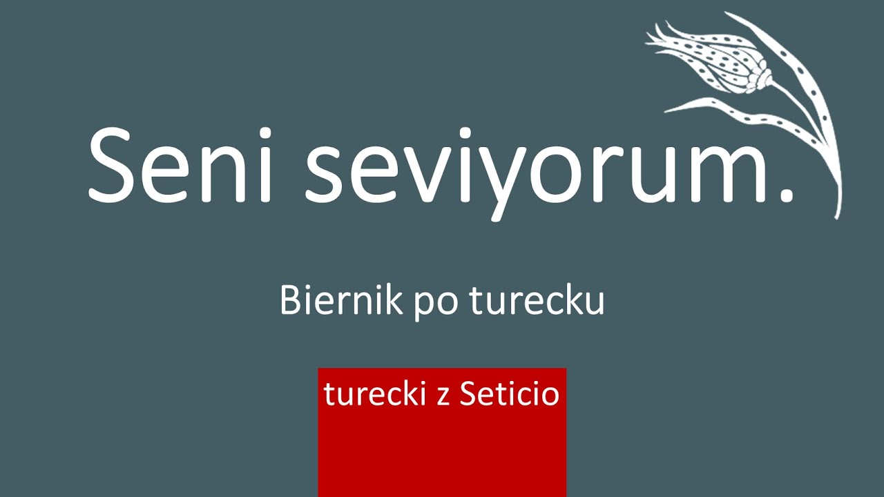 20. Biernik (Belirtme durumu, accusativ) i czynności w bierniku - Turecki z Seticio - Lekcja 20