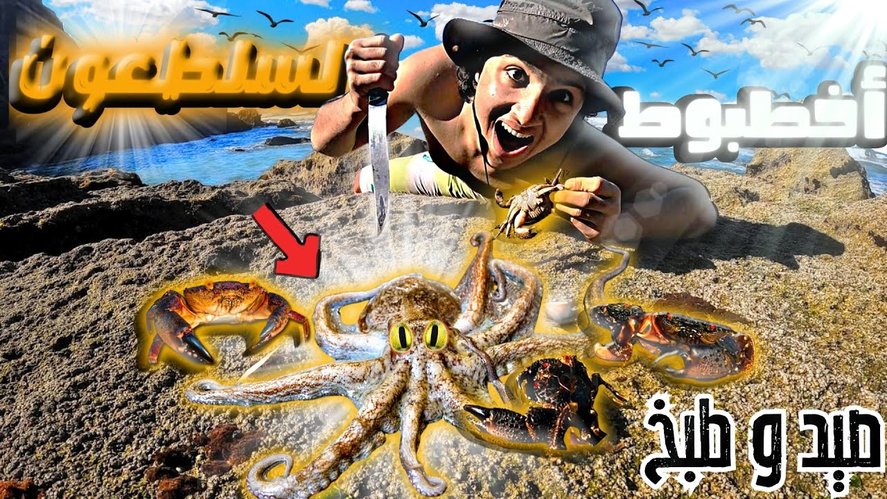 صيد السلطعون 🦀 و الأخطبوط🐙 بطريقة بدائية 🏹 و تصوير معركة بينهما ⚔️