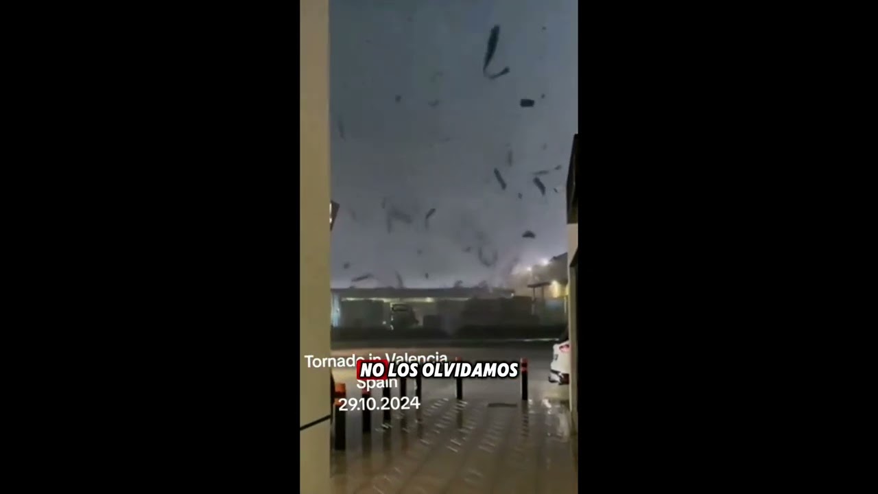 Valencia querida. Letra: Jesús Heredia #HijosdeEspaña #viralsong #españa #solidaridad