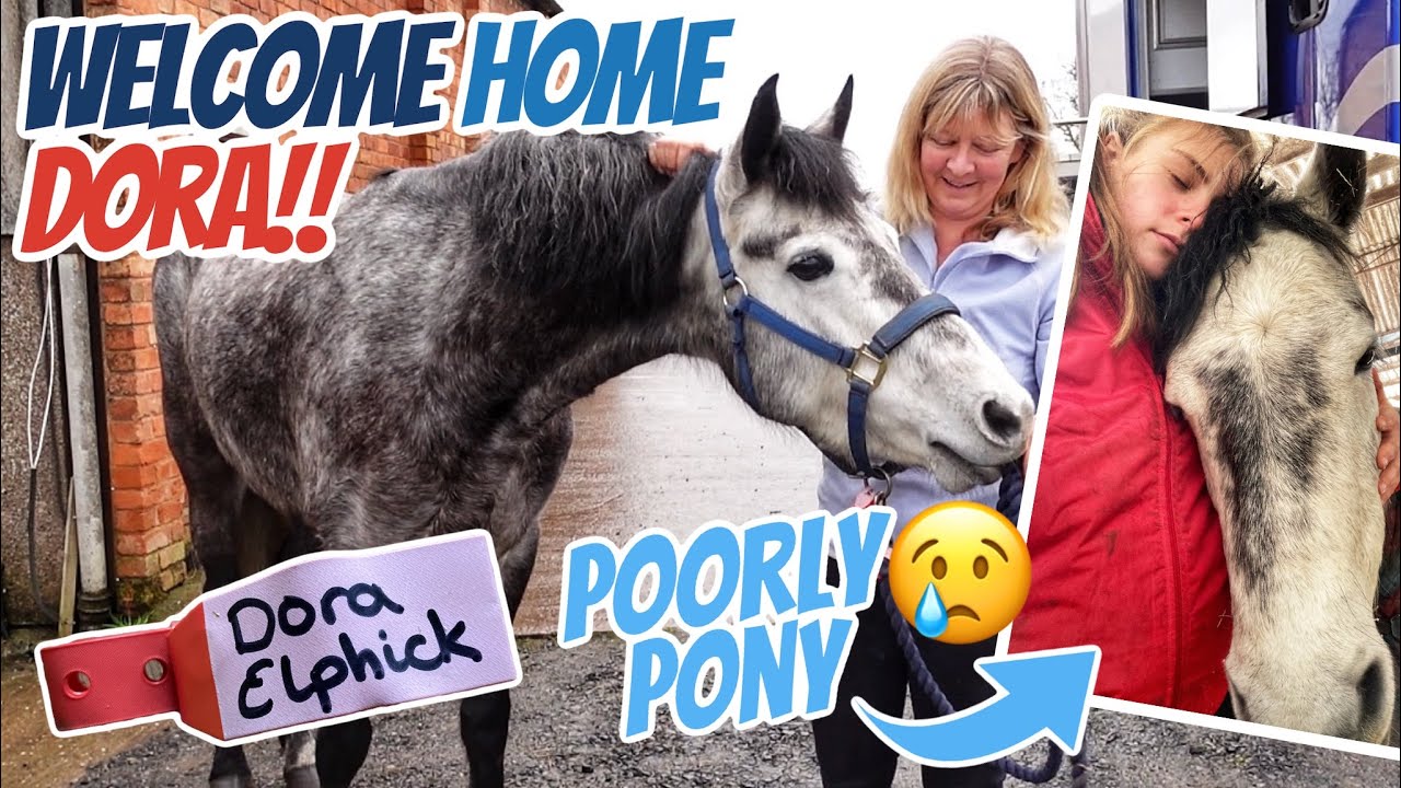 DORA GOT REALLY SICK ~ Dealing with a horse with colic