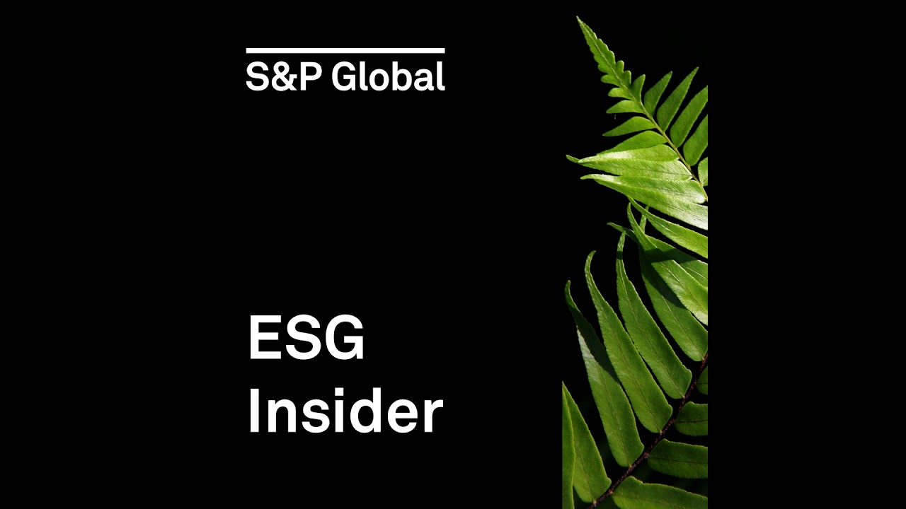 How Singapore-based investment firm Temasek is mobilizing green capital for emerging markets