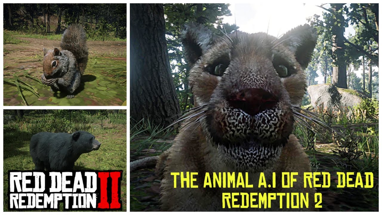 How Smart Are The Animals In Red Dead Redemption 2? - The Animal A.I Of RDR2