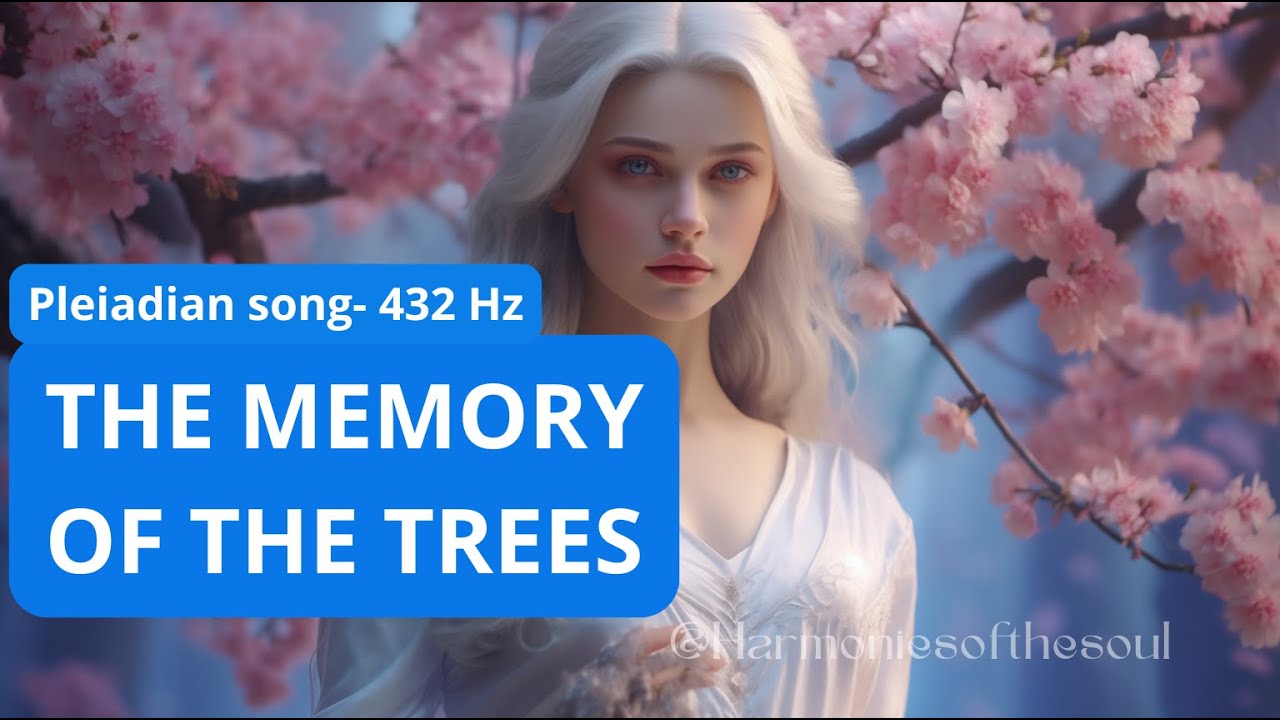 THE MEMORY OF THE TREES- Pleiadian song #healingmusic #meditationmusic #meditate #pleiadians #432hz