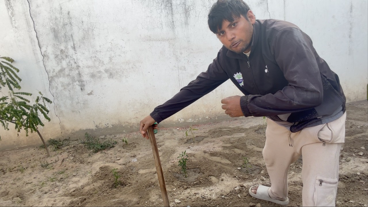 घर पर ही सब्ज़ी की खेती लगा दी 😂 vlog 28
