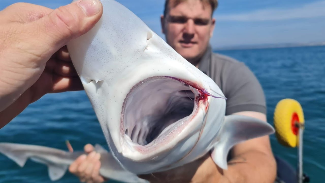 TOPE on Mackrel feathers ??? crazy days sib fishing sea fishing uk
