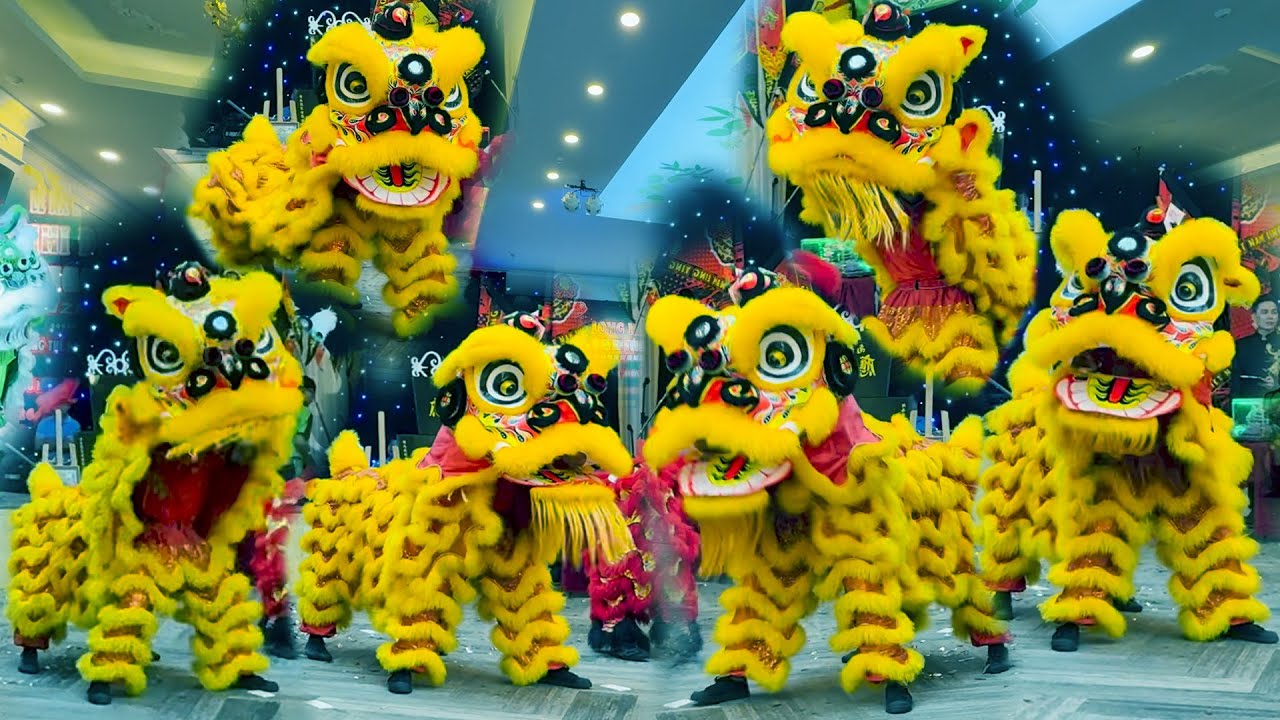 Múa Lân Hay Nhất 2026 biểu diễn Lân Sư Rồng tiệc kỷ niệm Long Nhi Đường