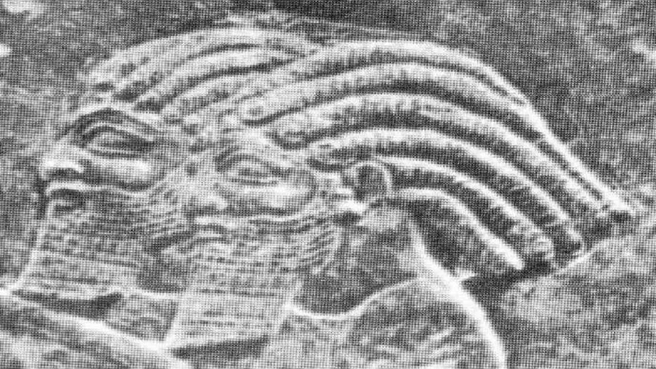 THROWBACK HEBREW ISRAELITE RAP SONGS (PART 1)