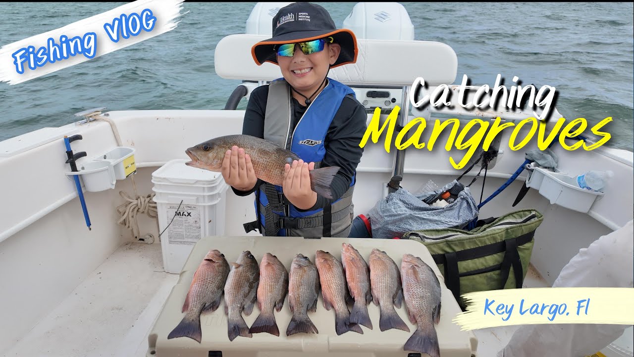 Inshore Mangrove Snapper Fishing in Key Largo with My 9-Year-Old Son