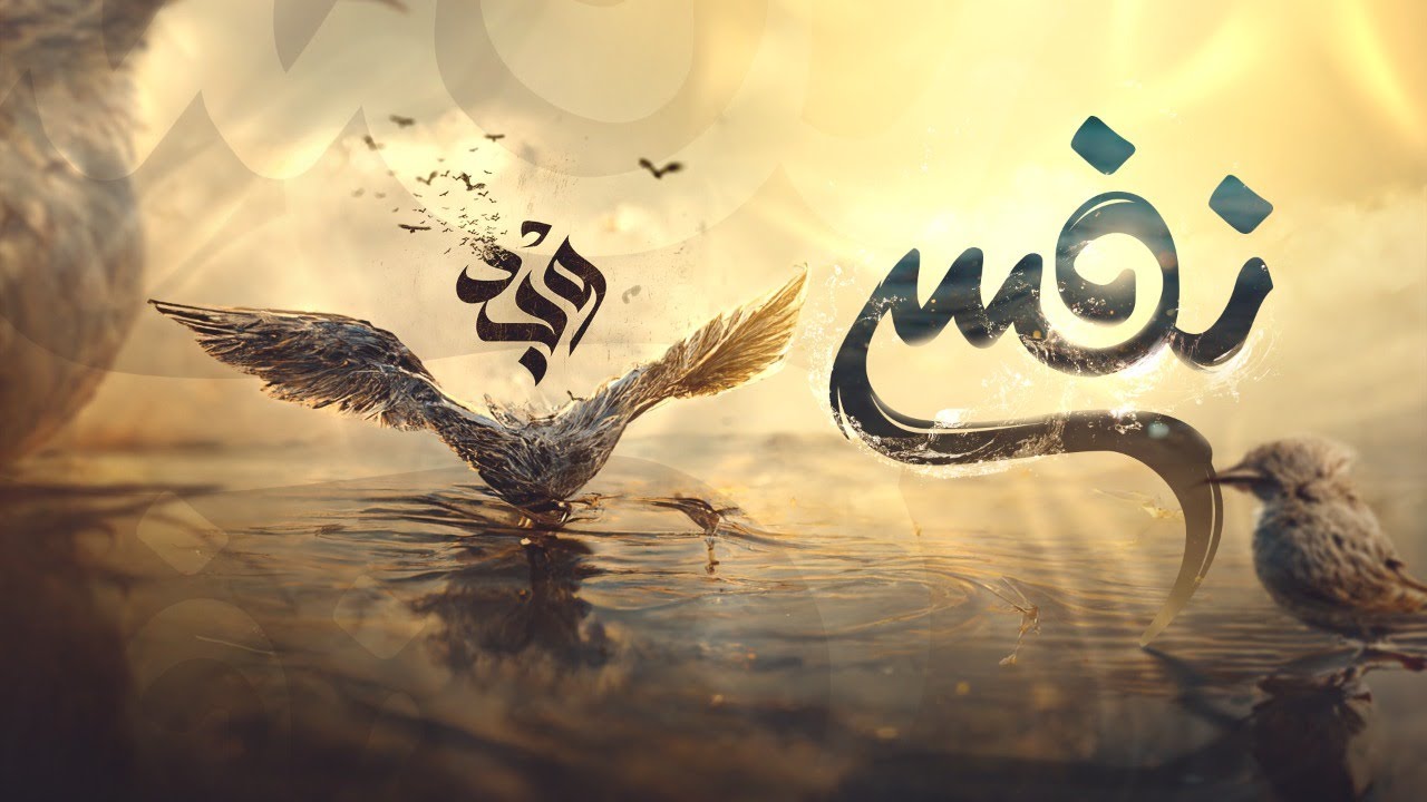 الحلقة الثامنة من برنامج وجد بعنوان 
