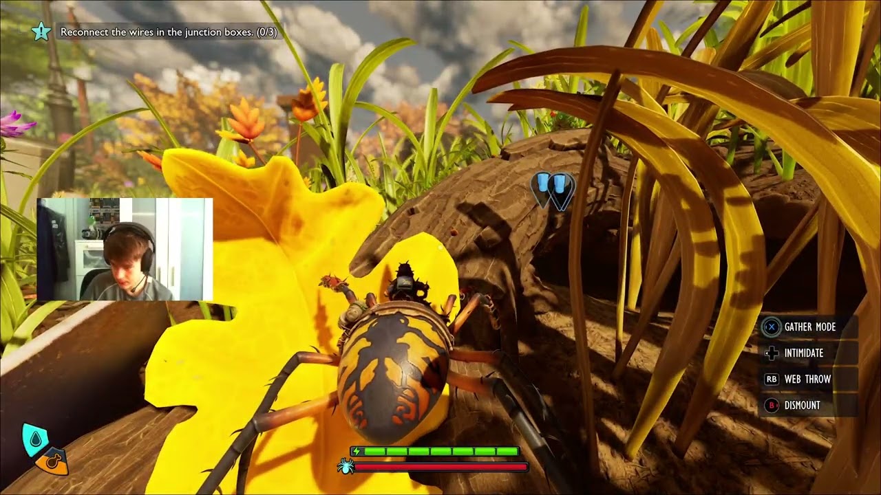 Grounded 2 stream Exploring the Toxic tangle update