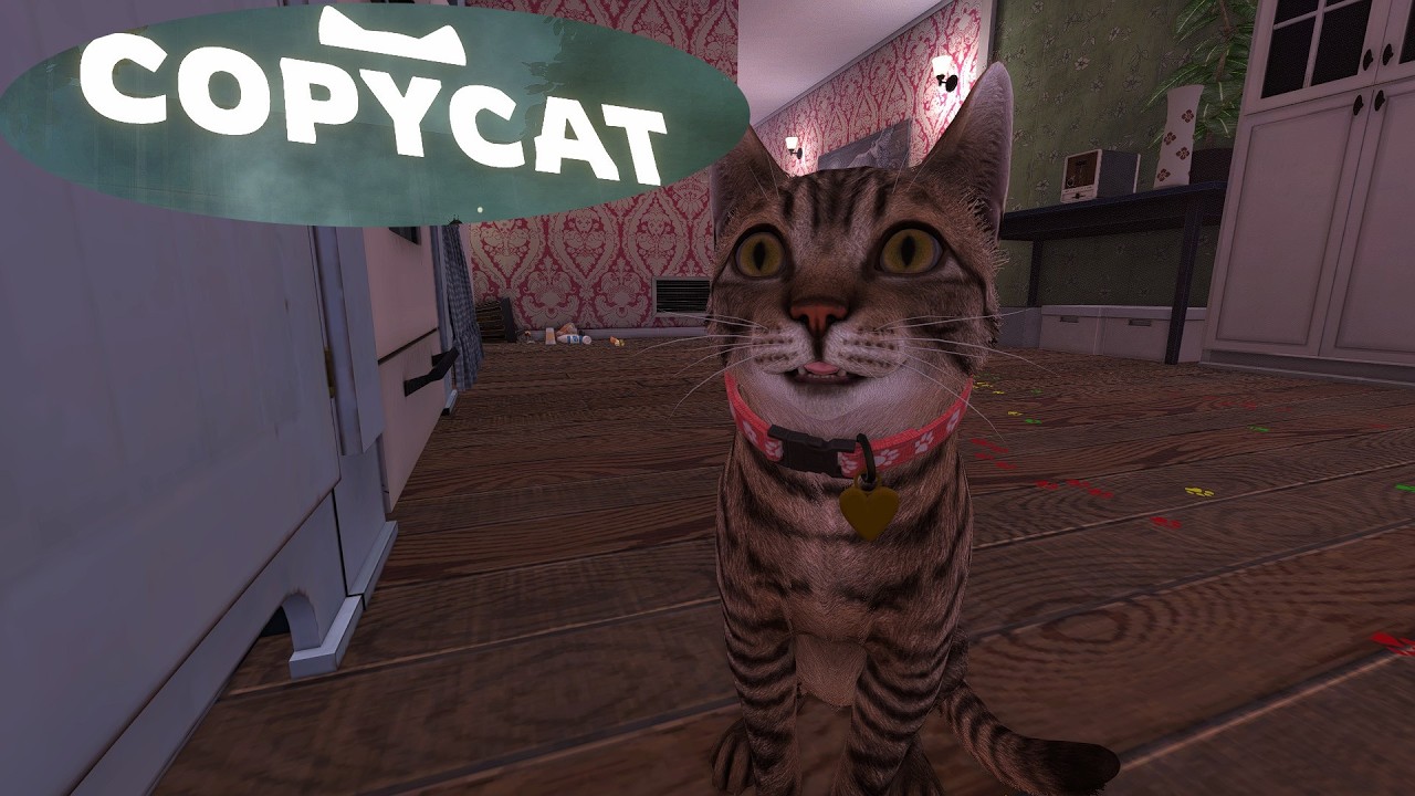 CopyCat Продолжение судьба кошки.