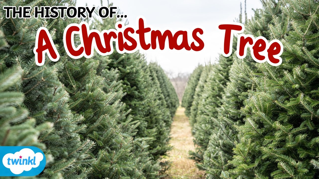 The History of Christmas Trees for Kids | Why Do We Have Christmas Trees?