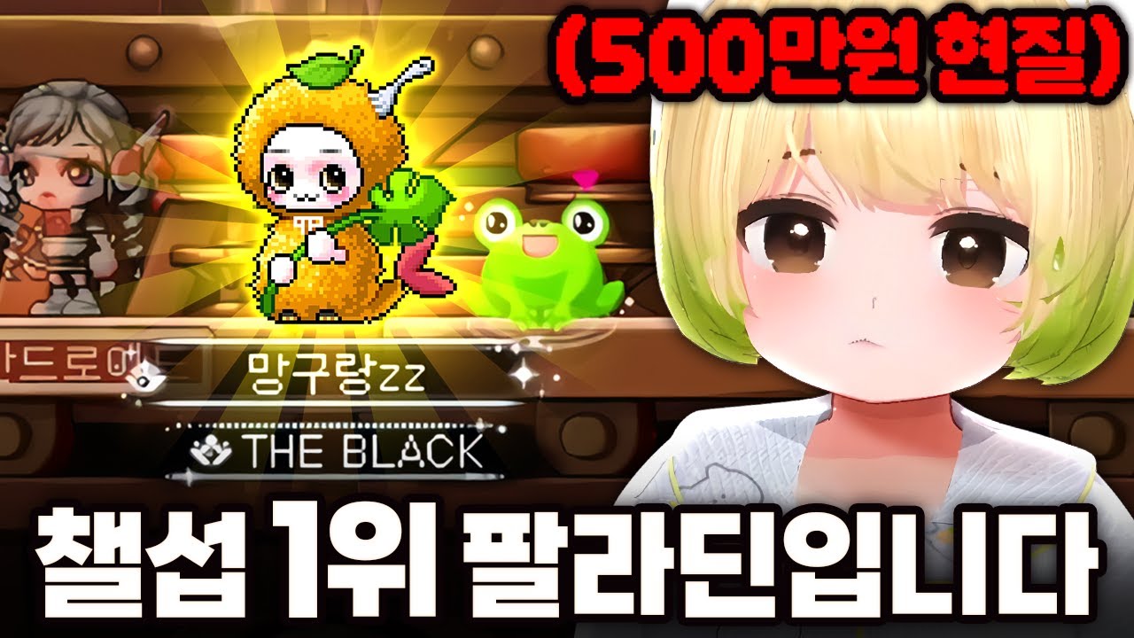 메린이 500만원 현질해서 챌1섭 1위 찍었습니다