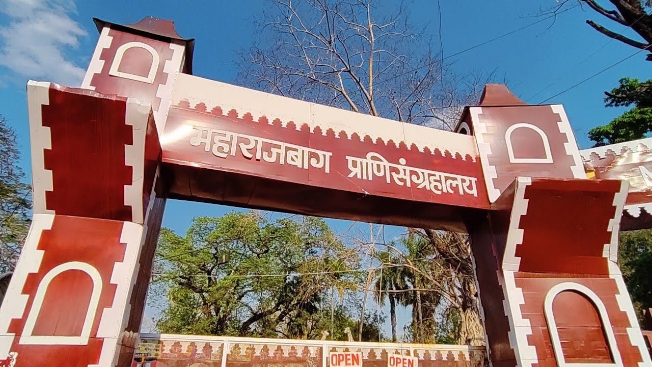 Maharaj Bagh Zoo in Nagpur 2022