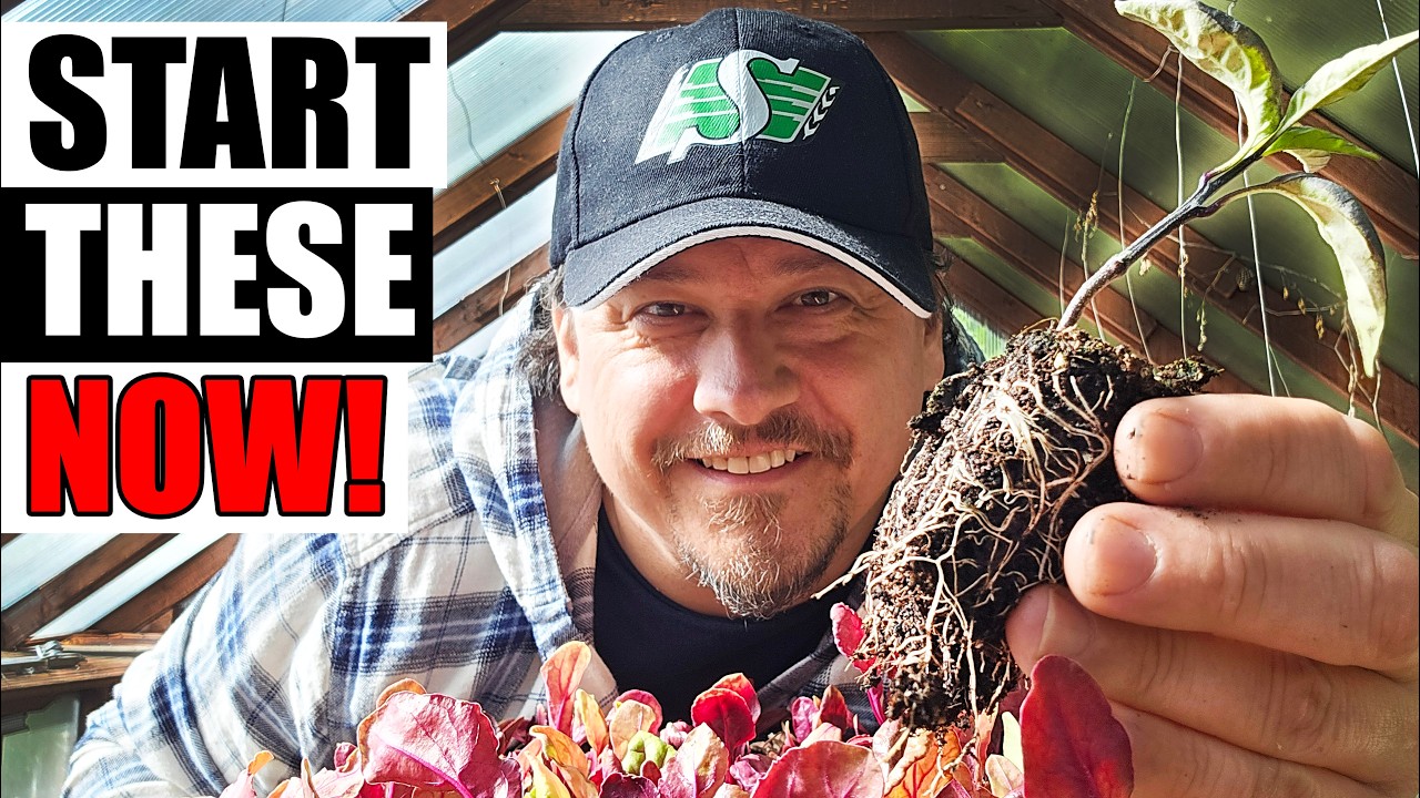 6 Crops That Need A Head Start