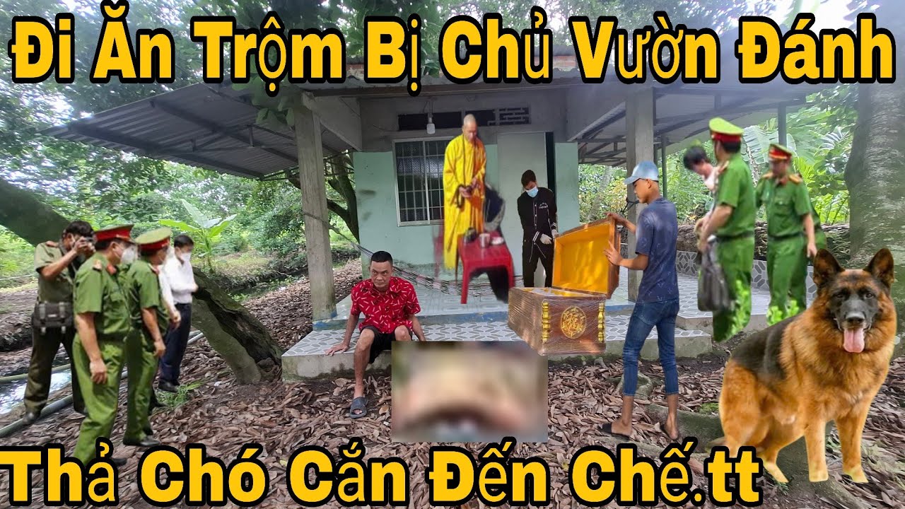 Thanh Niên Đi Ăn Trộm Rất Nhiều Lần Huyện Chợ Lách Bến Tre