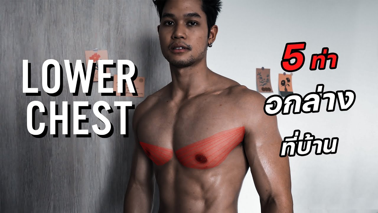 5 ท่าเล่นอกล่างที่บ้าน กว้าง เต็ม ตัด [Lower Chest]