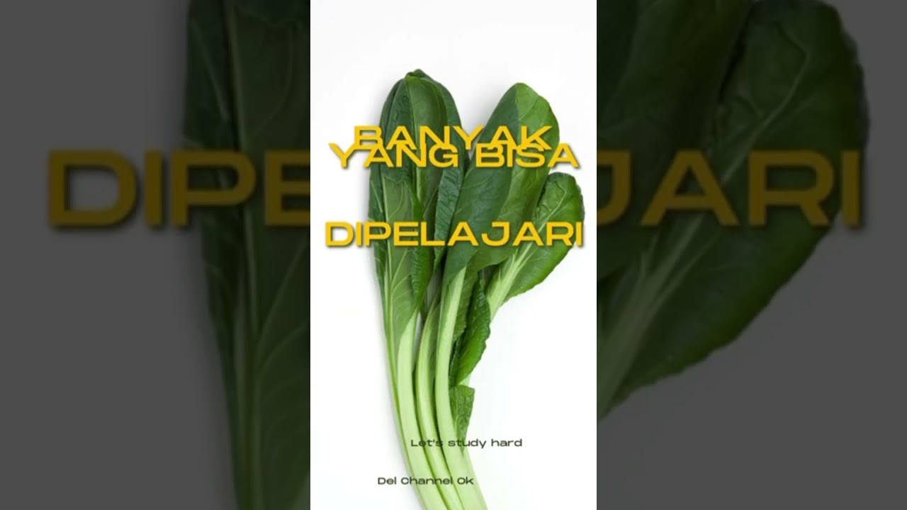 Yuk Selalu Belajar #materiajar #pelajaranbahasainggris #materi