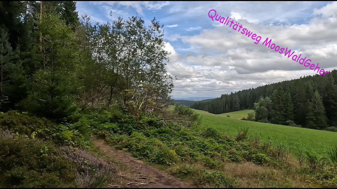 Qualitätsweg MoosWaldGeher Unterkirnach im Schwarzwald