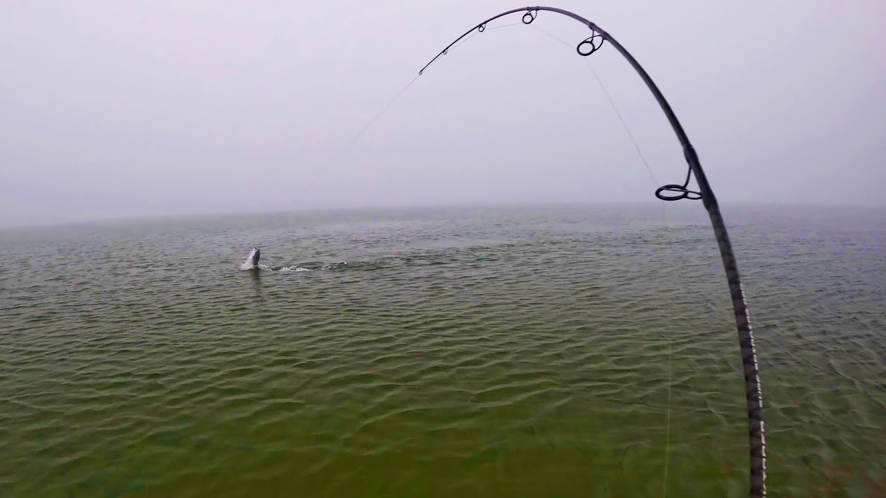 Quiet Beach Was Loaded With Monster Fish! Surfcasting Surprise!