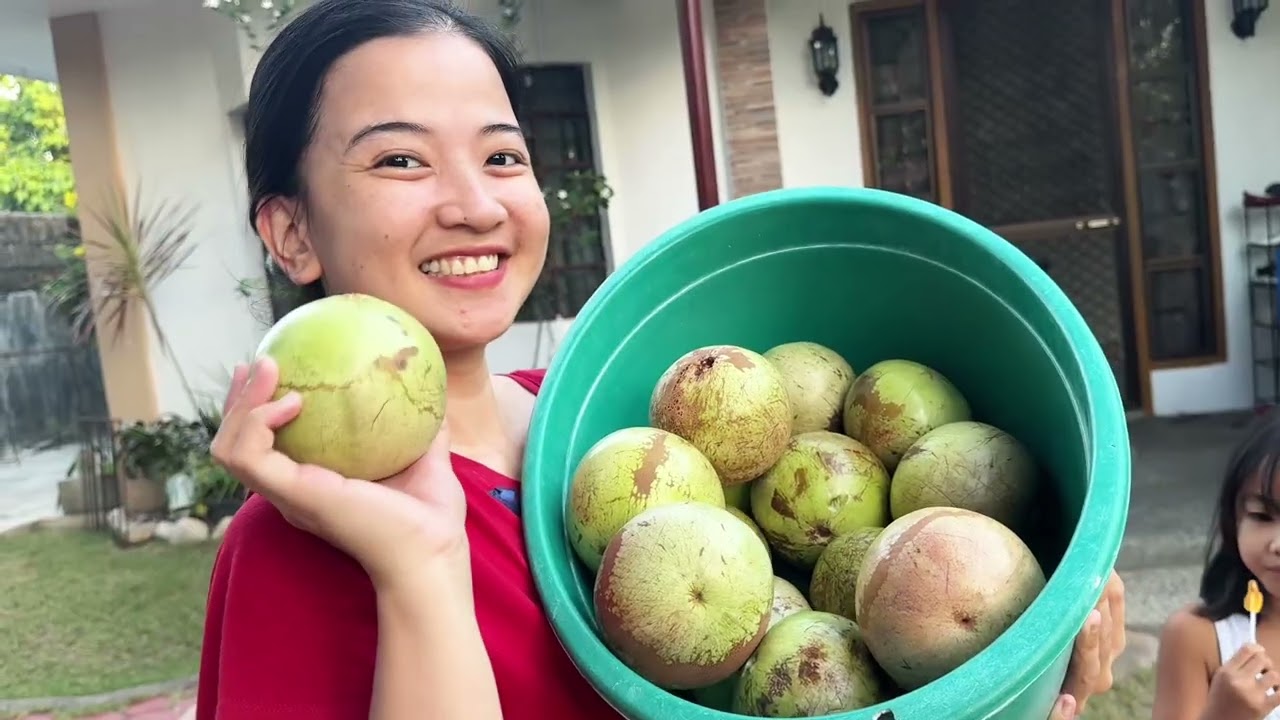 BACKYARD HARVEST | Kaimito (star apple) | Princess GB