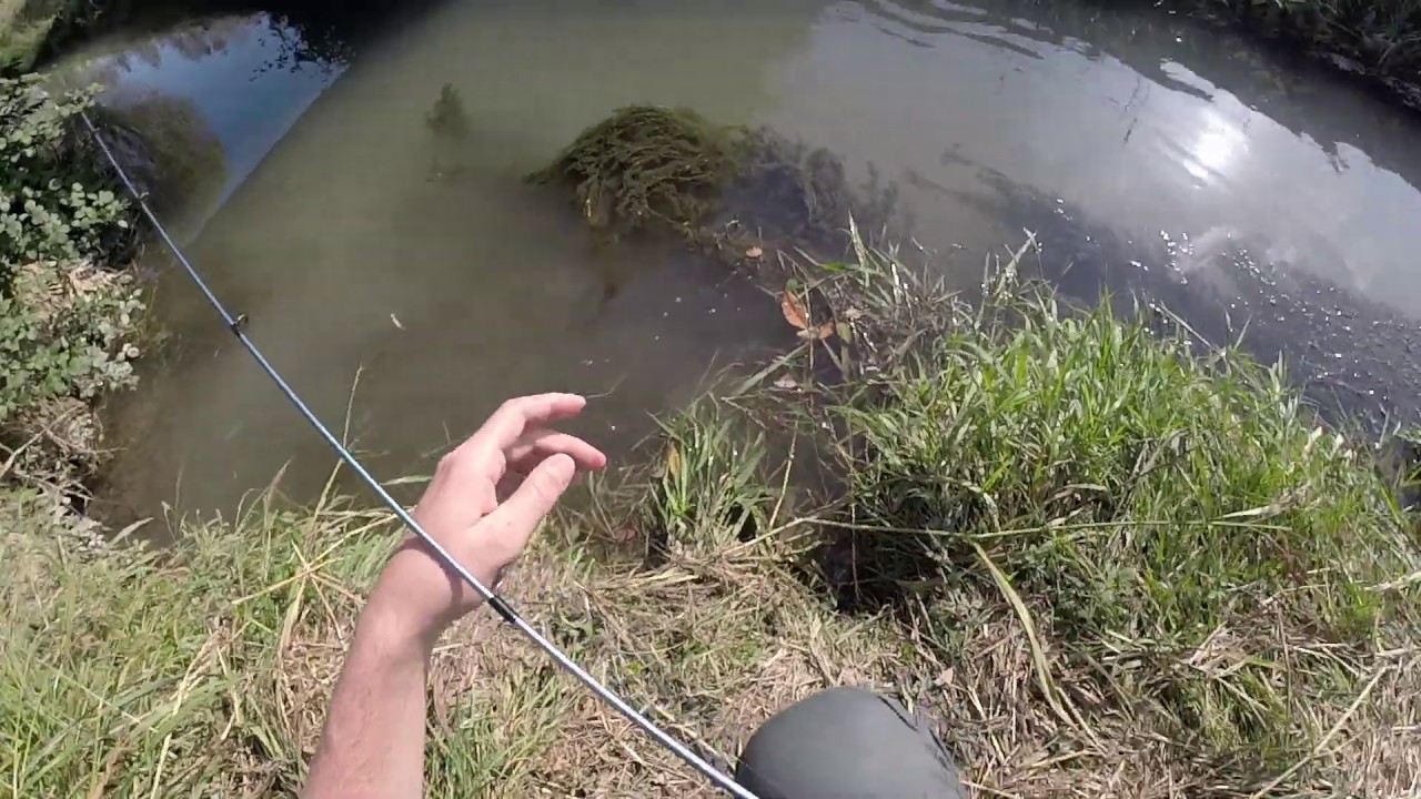 IL PREDATORE SOTTO IL PONTE - ultra light foss fishing