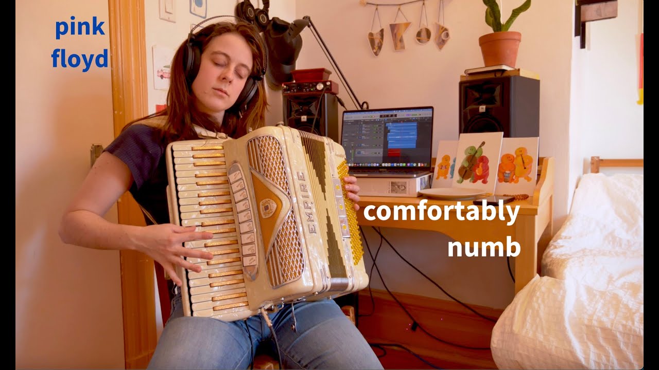 Comfortably Numb - Pink Floyd | Accordion Cover