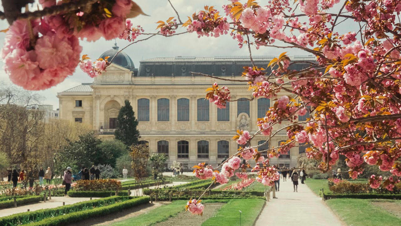 Springtime in the Jardin des Plantes - Paris Live #144