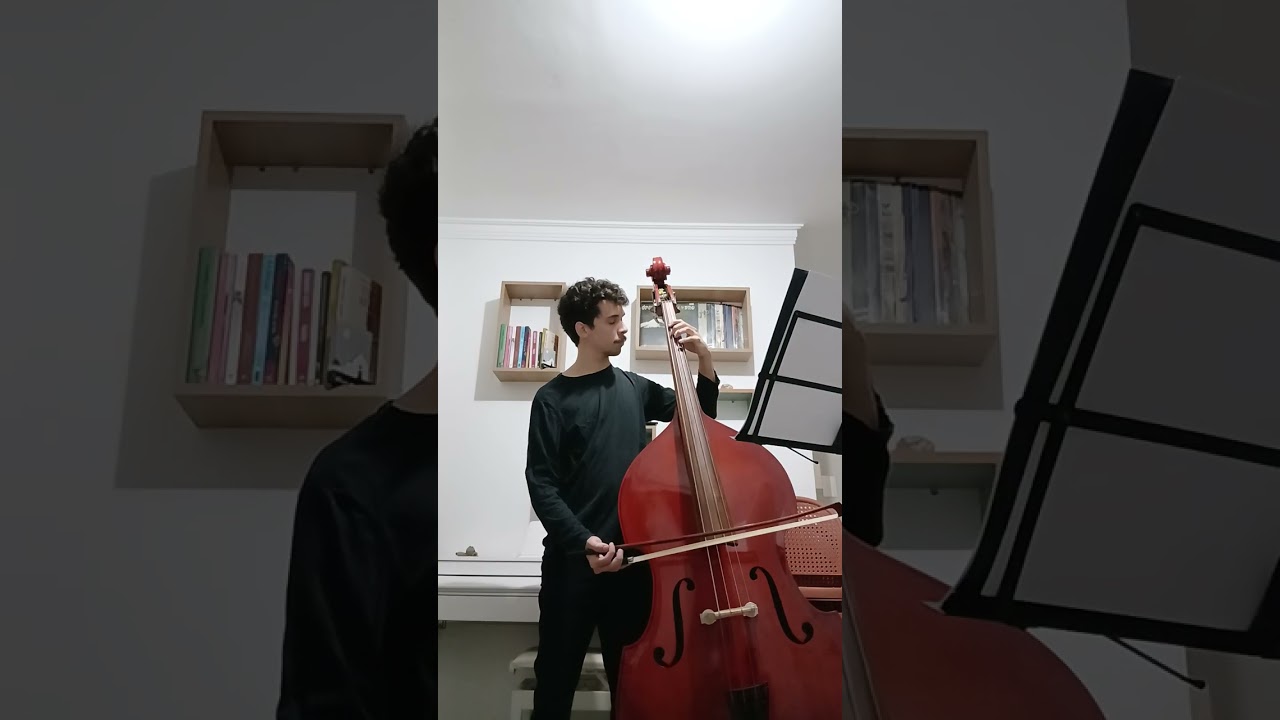 Sommerakademie - Wiener Philharmoniker 2026 Excerpts - Nathan Bastod Parente