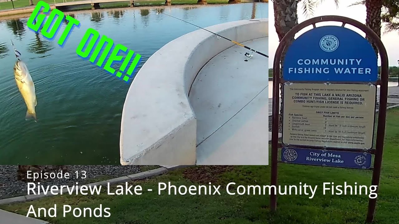 Episode 13 Riverview Park - Phoenix Community Fishing Lakes & Ponds