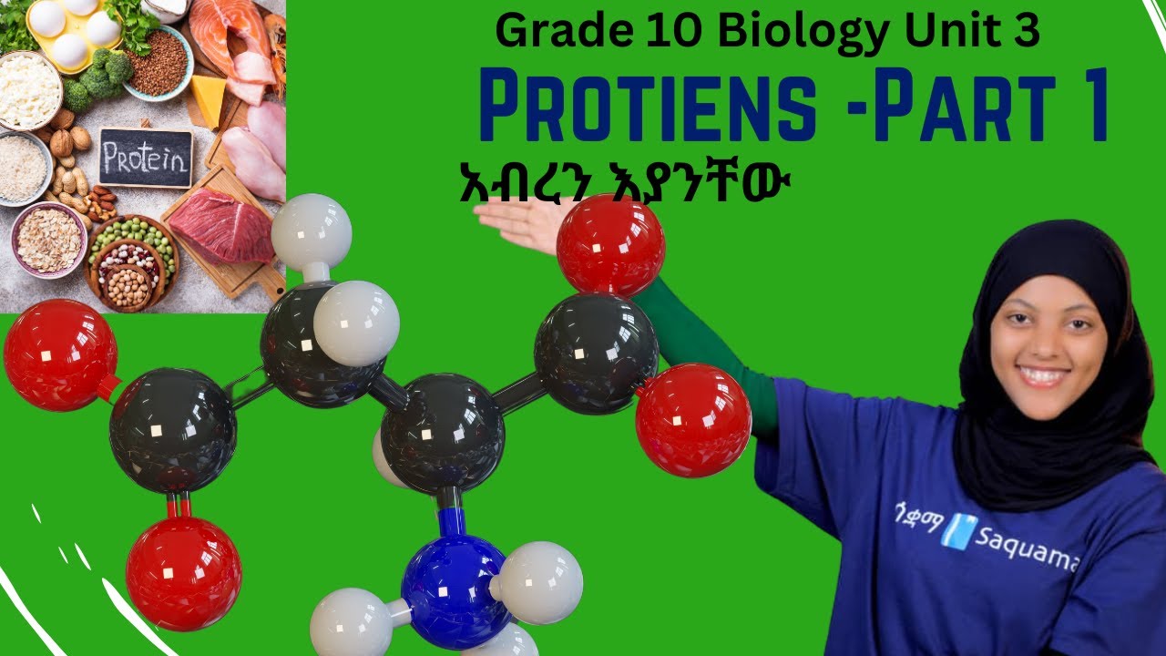 Grade 10 Biology Unit 3: 3.1.3 Proteins- part 1|ሳቋማ |Saquama