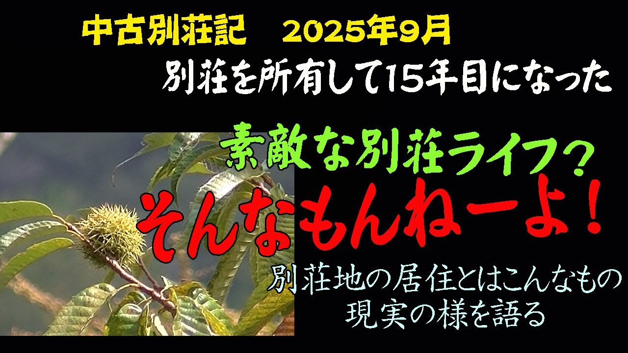 [中古別荘記]　別荘を所有してから15年目に入った。　別荘地で居住する現実を語ってみます。　2025年9月