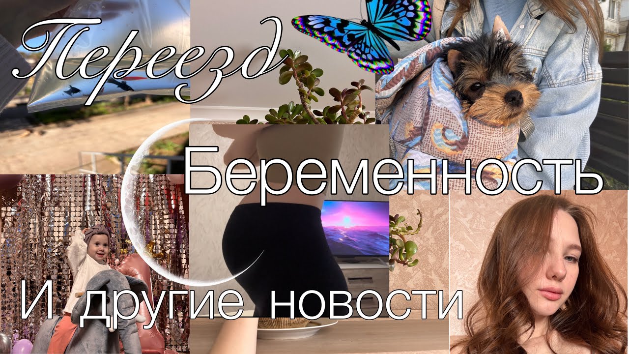 | Переезд | 30 недель беременности | События и новости |